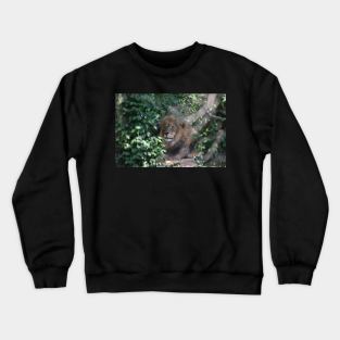 Lion Crewneck Sweatshirt